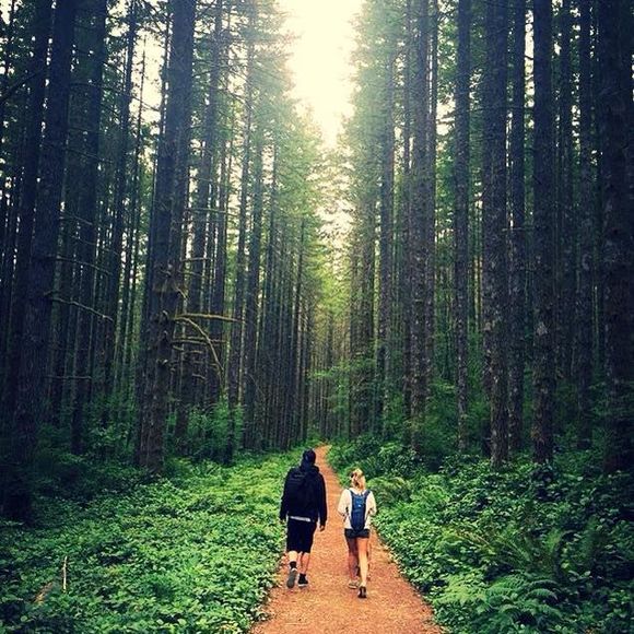 Meet your Posher, Marko - Picture 1 of 1